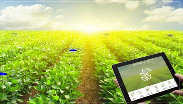 رونمایی از سامانه رصد هوشمند تغییر کاربری زمین های کشاورزی